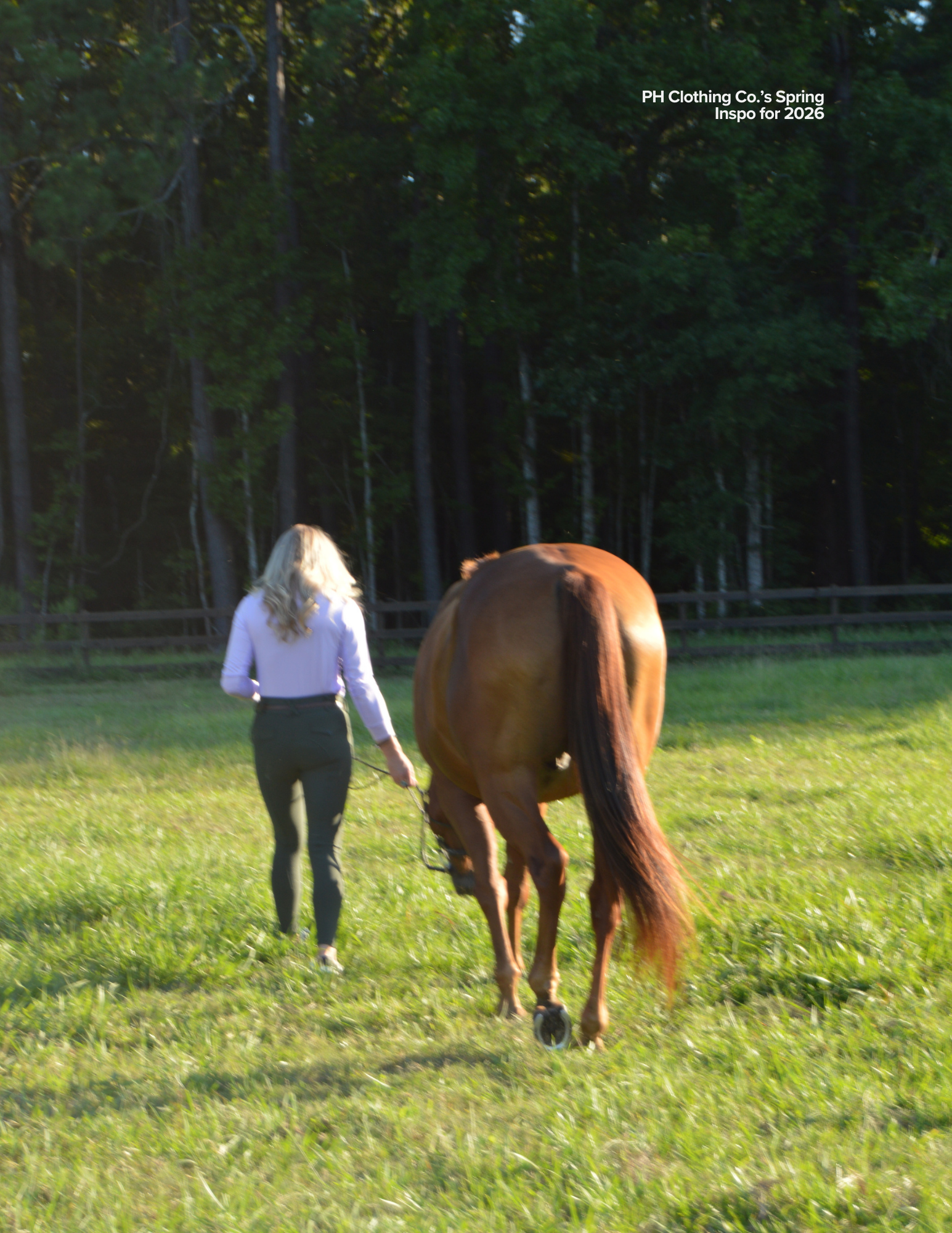 Equestrian
